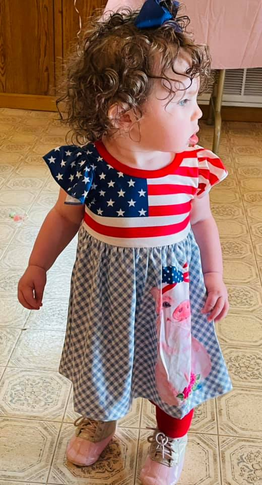 Summer 4th July Pig Dress