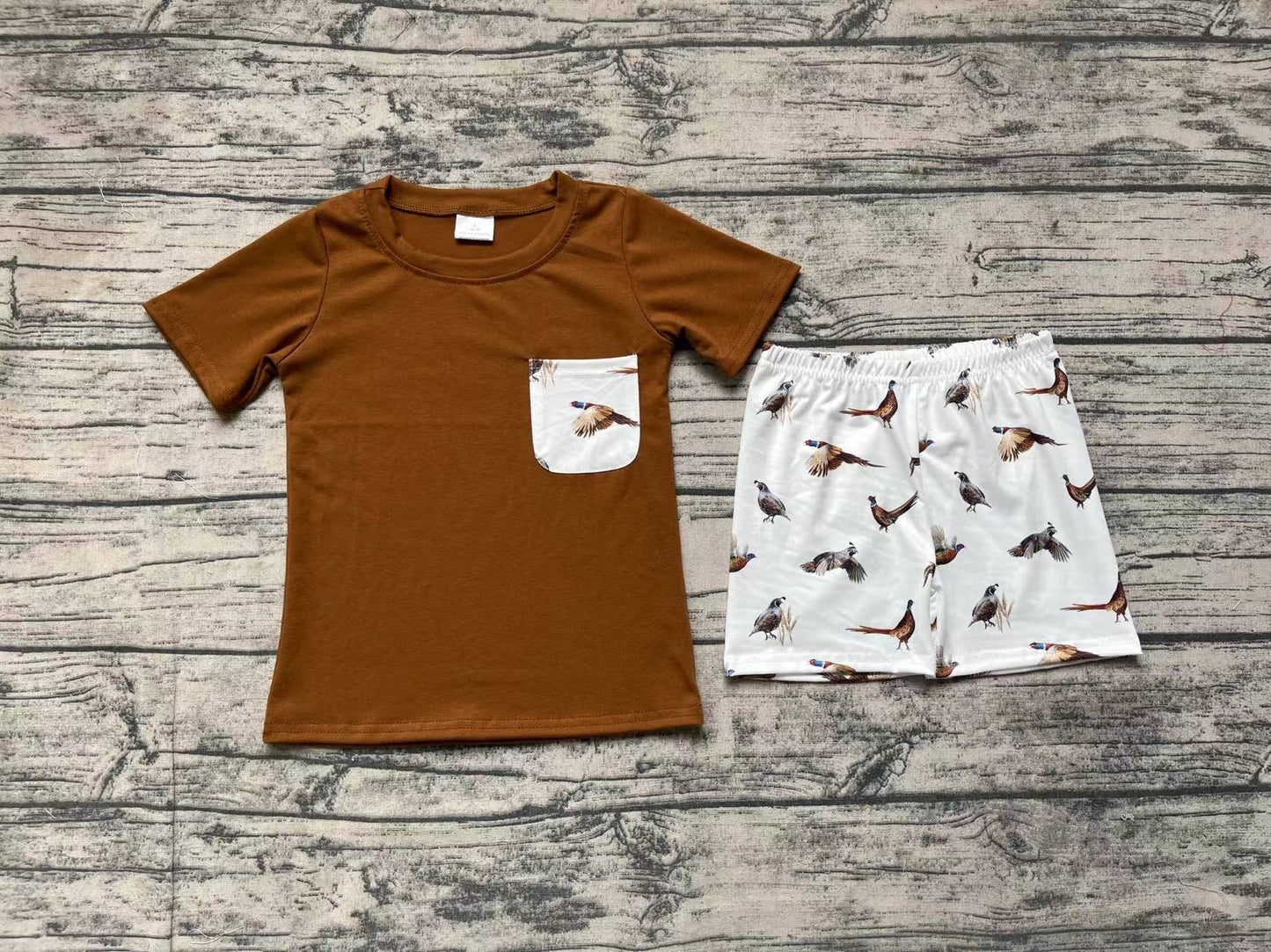 Summer Baby Boys Brown Top Wild Bird Shorts Set