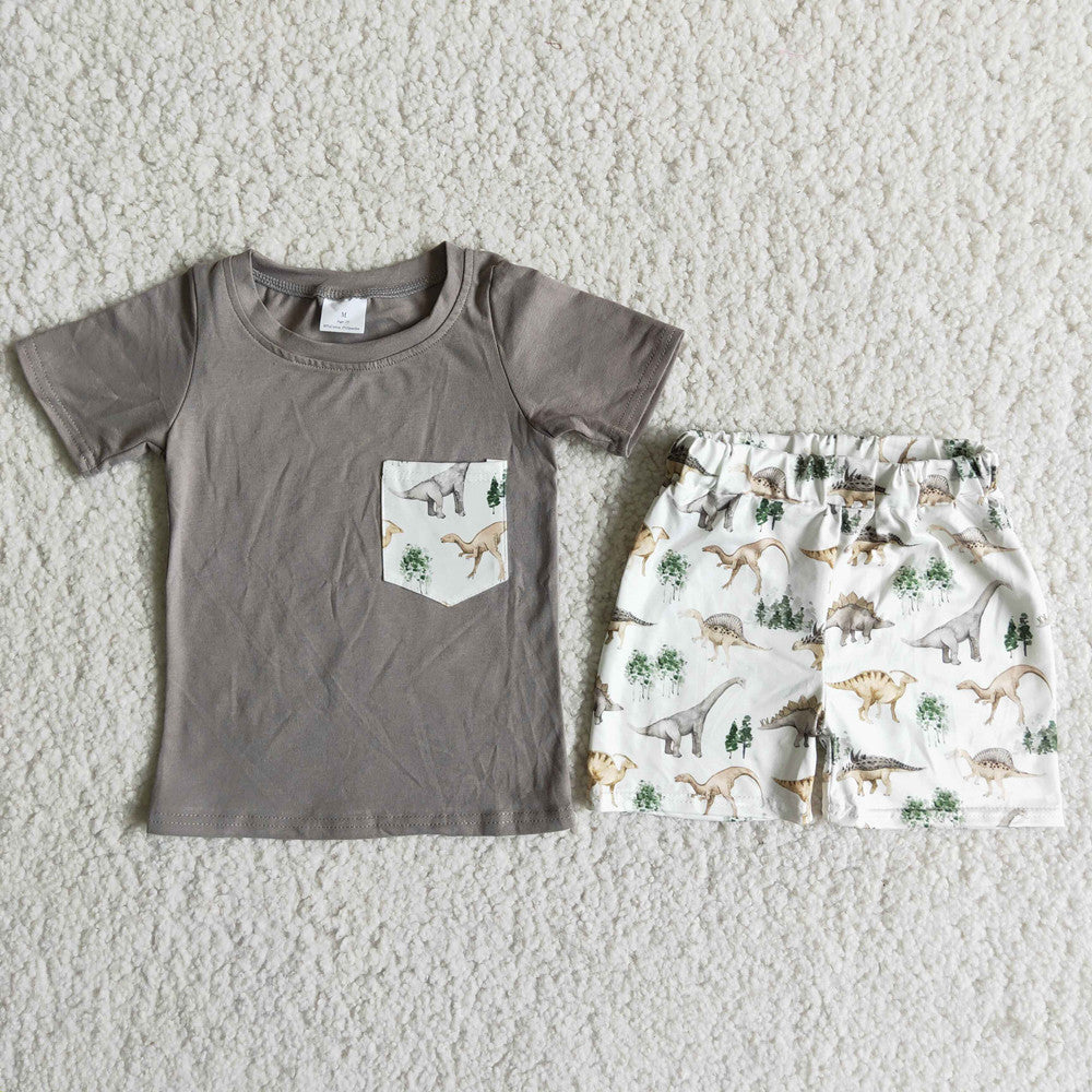 Boys Summer Dinosaur Gray Top Shorts Set